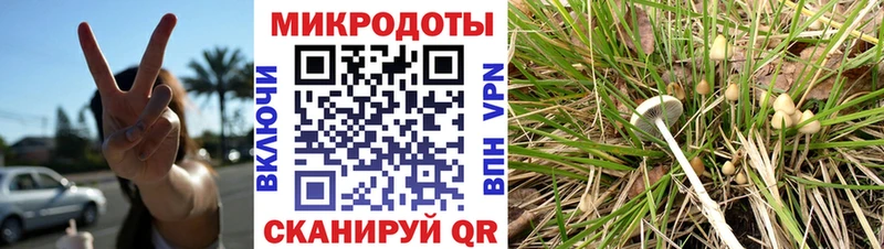 Псилоцибиновые грибы Magic Shrooms  Орлов 