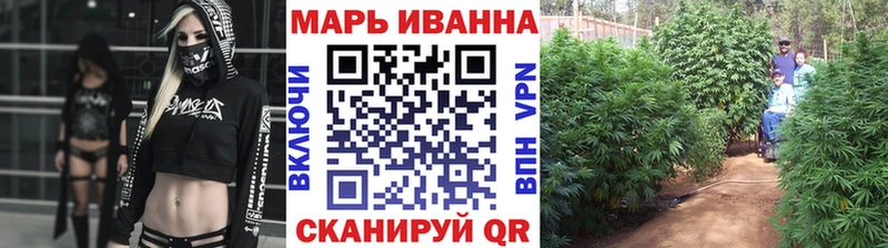 где продают наркотики  Орлов  Бошки марихуана сатива 